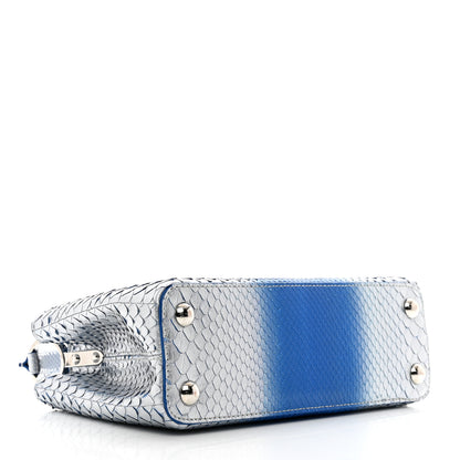 Louis Vuitton Metallic Snakeskin Bicolor Capucines BB Blue Silver 4 of 9