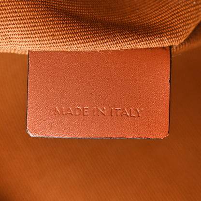 Celine Canvas Calfskin Ava Triomphe Shoulder Bag White 7 of 14