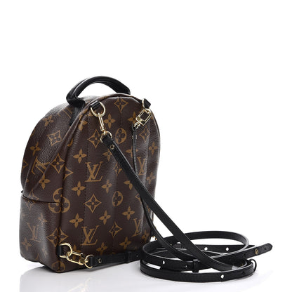 Louis Vuitton Monogram Palm Springs Backpack Mini 3 of 7