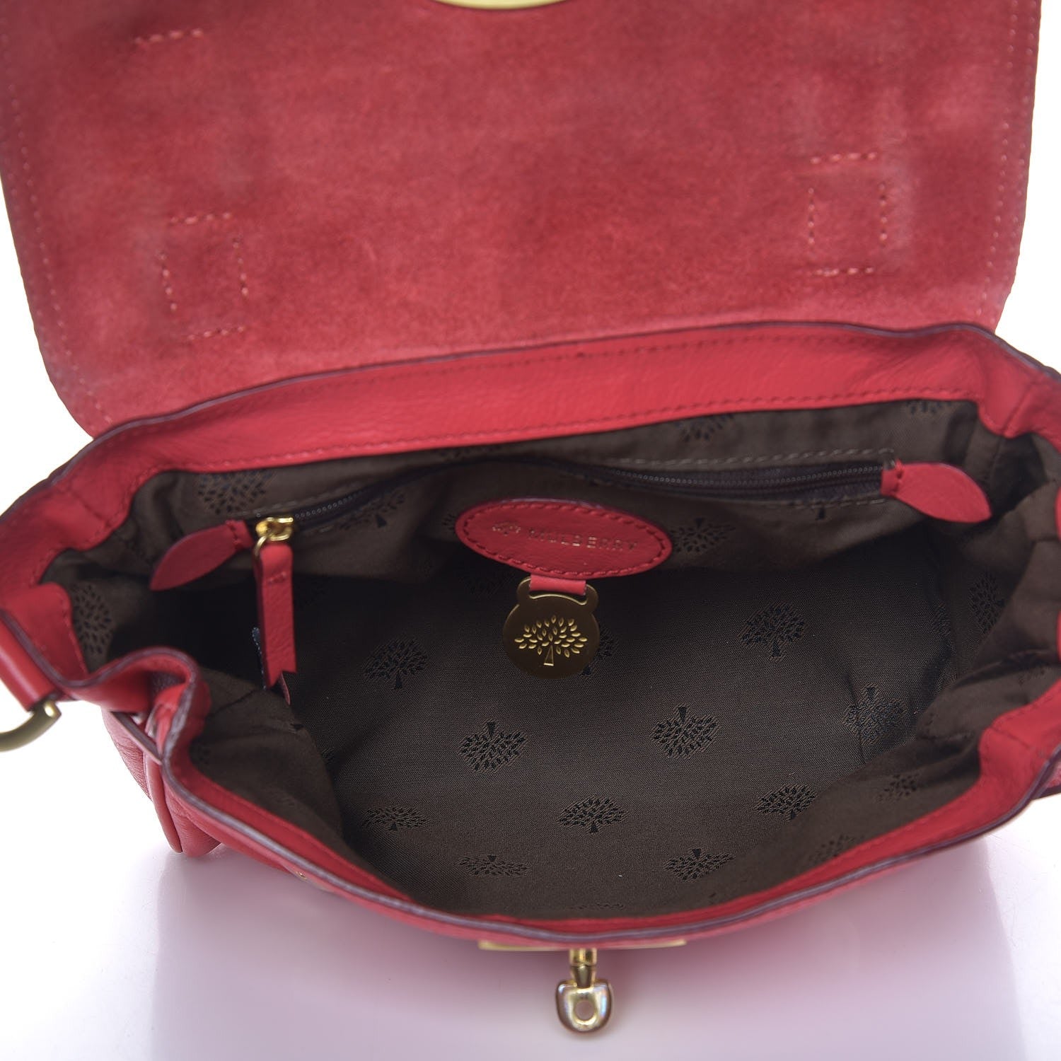 Mulberry Soft Buffalo Mini Alexa Watermelon 5 of 14