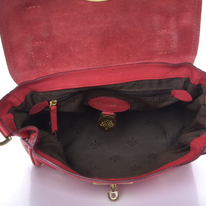 Mulberry Soft Buffalo Mini Alexa Watermelon 5 of 14