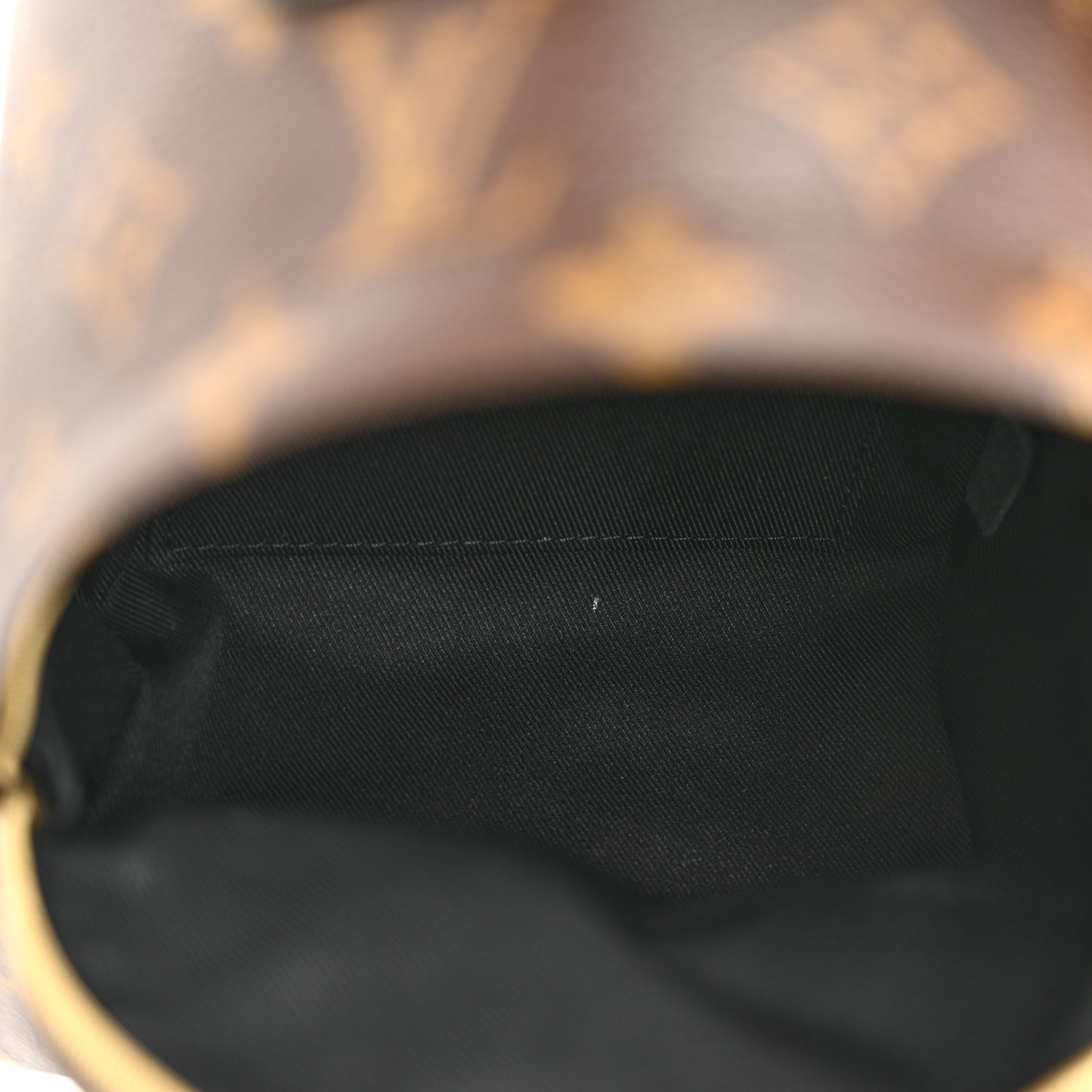 Monogram Palm Springs Backpack Mini