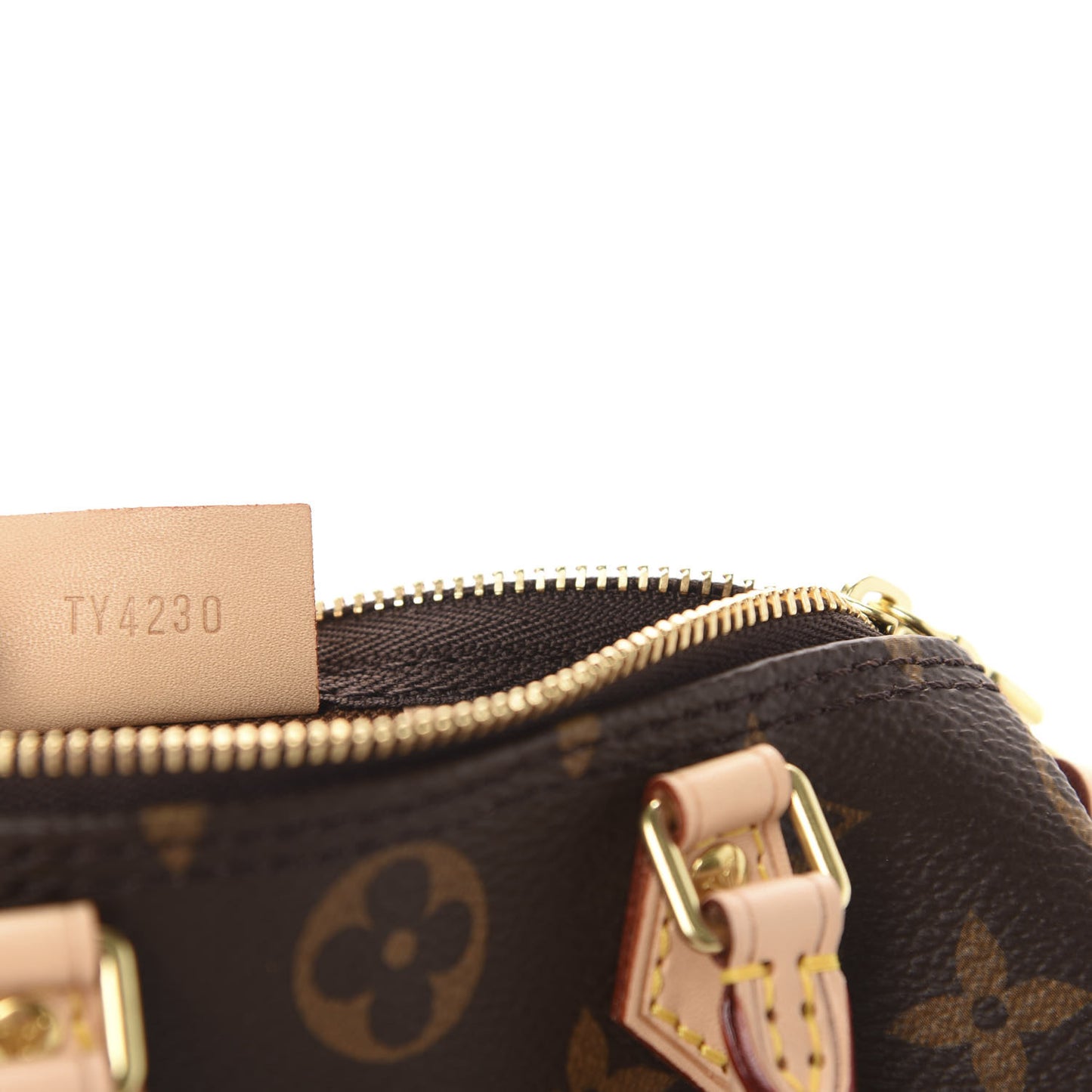 Monogram Nano Speedy