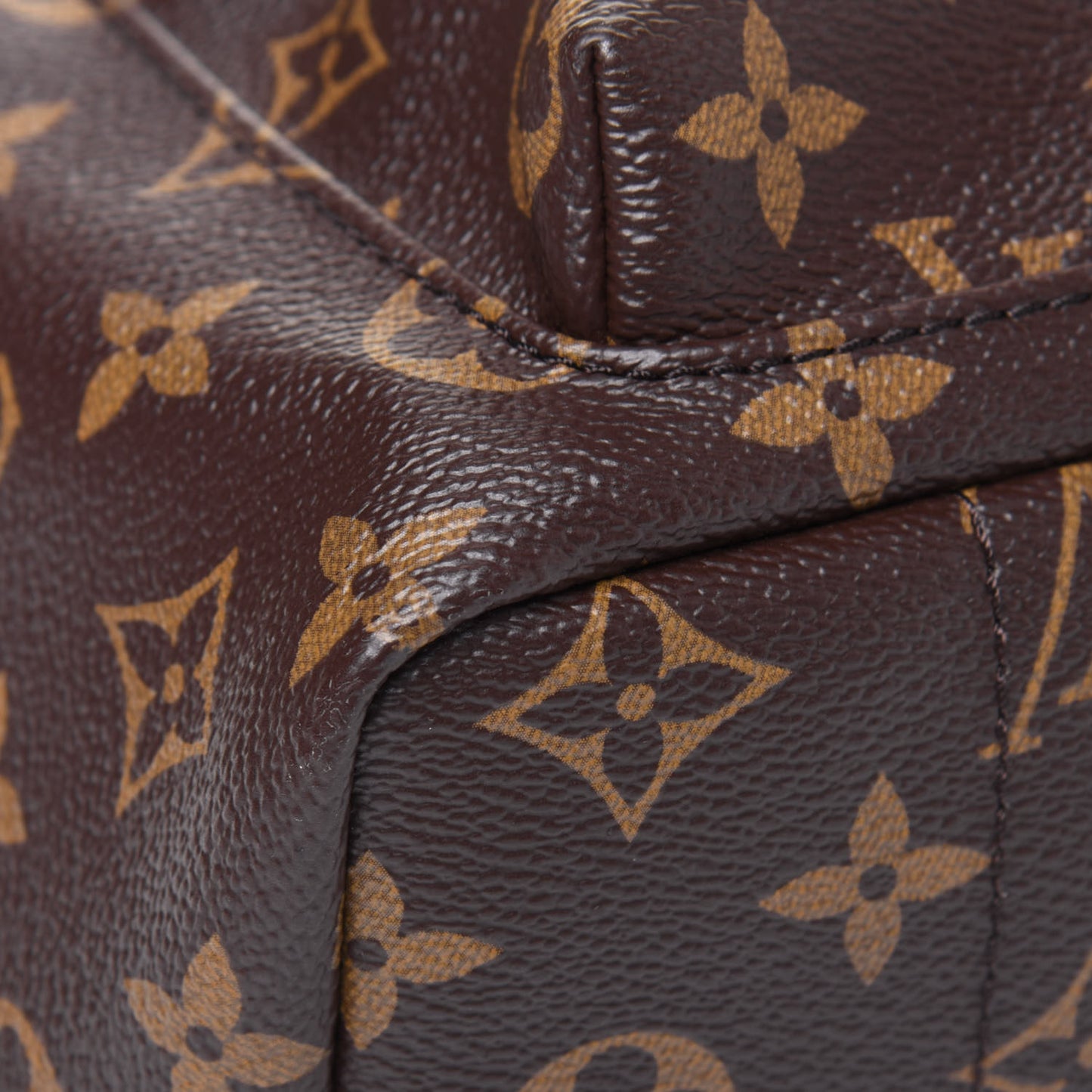 Monogram Palm Springs Backpack PM