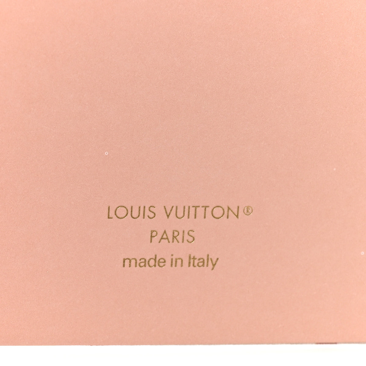 Louis Vuitton Monogram Dune Jane Notebook MM 6 of 7