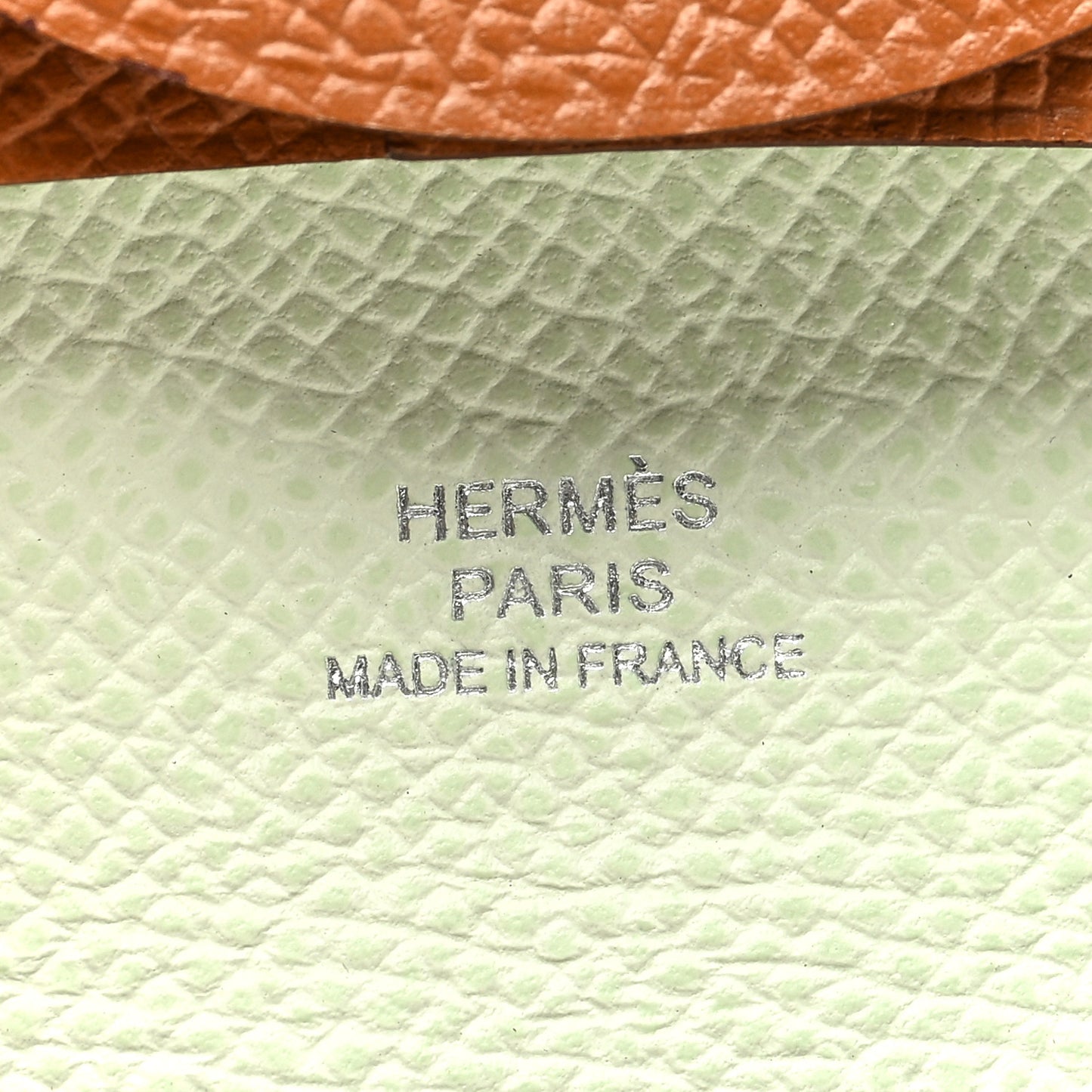 Epsom Bastia Verso Coin Purse Gold Vert Fizz