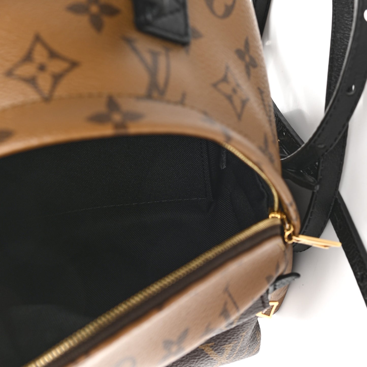 Reverse Monogram Palm Springs Backpack Mini