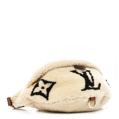 Louis Vuitton Monogram Teddy Bumbag 4 of 9