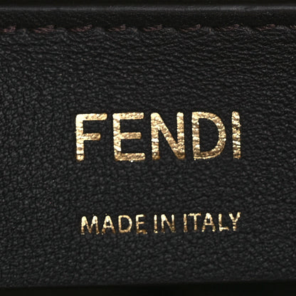 Fendi Vitello King Plexiglass Logo Embossed Mini By The Way Top Handle Boston Bag Caramello 6 of 14