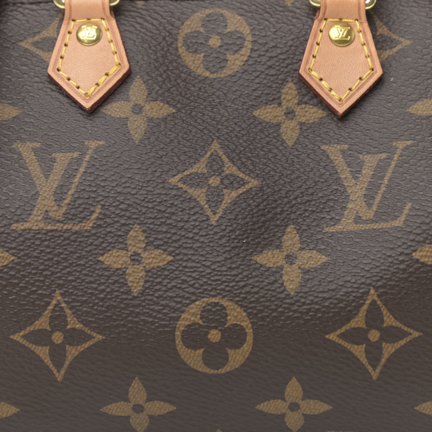 Monogram Nano Speedy