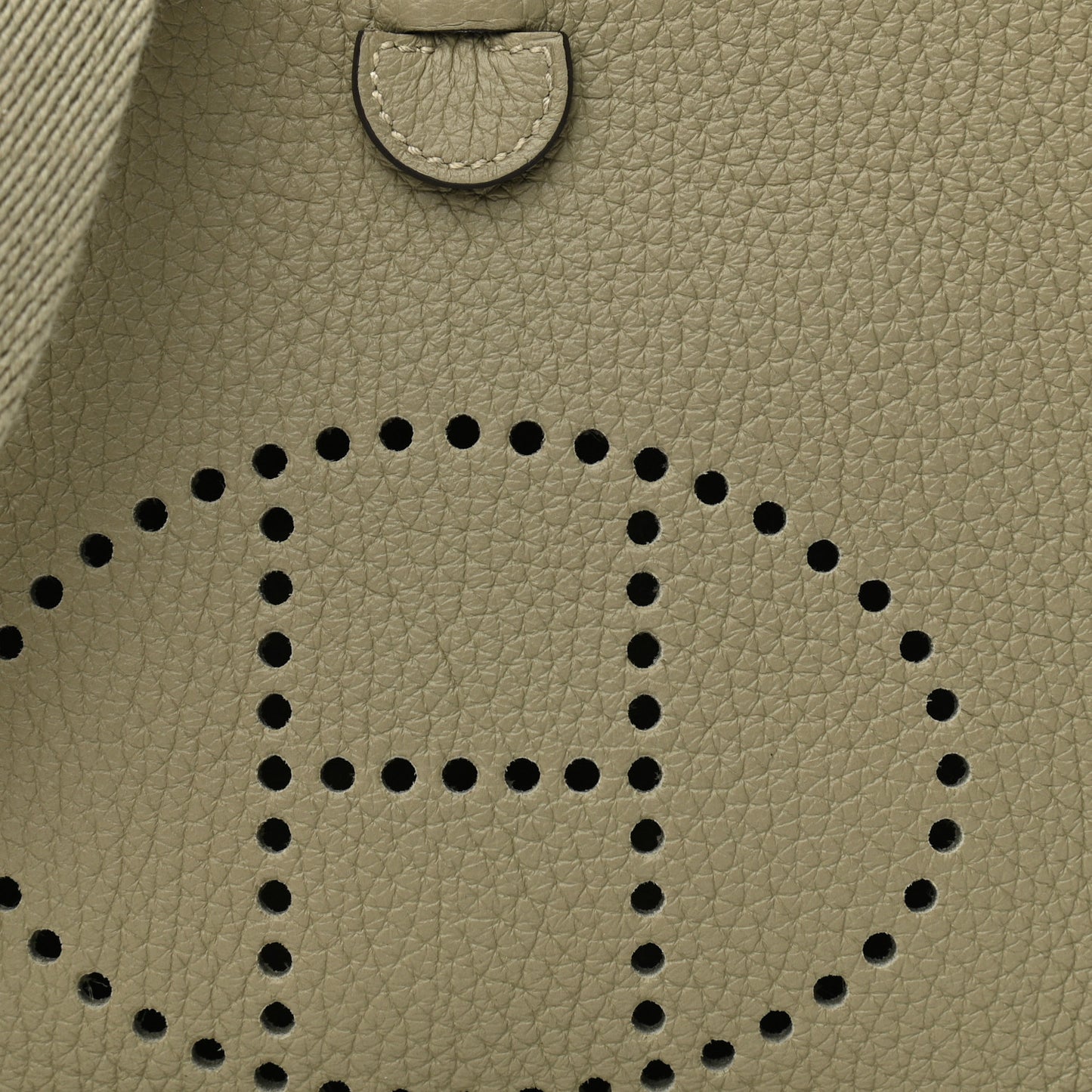 Taurillon Clemence Evelyne TPM Sauge