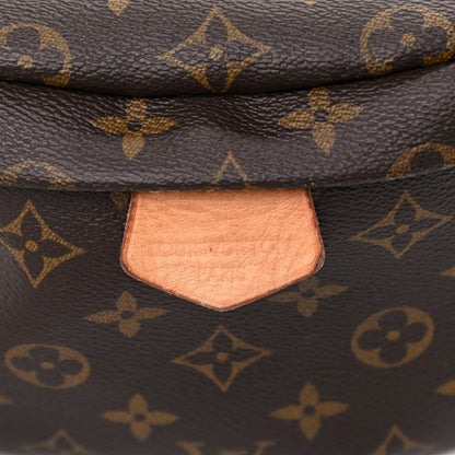 Louis Vuitton Monogram Bumbag 12 of 17