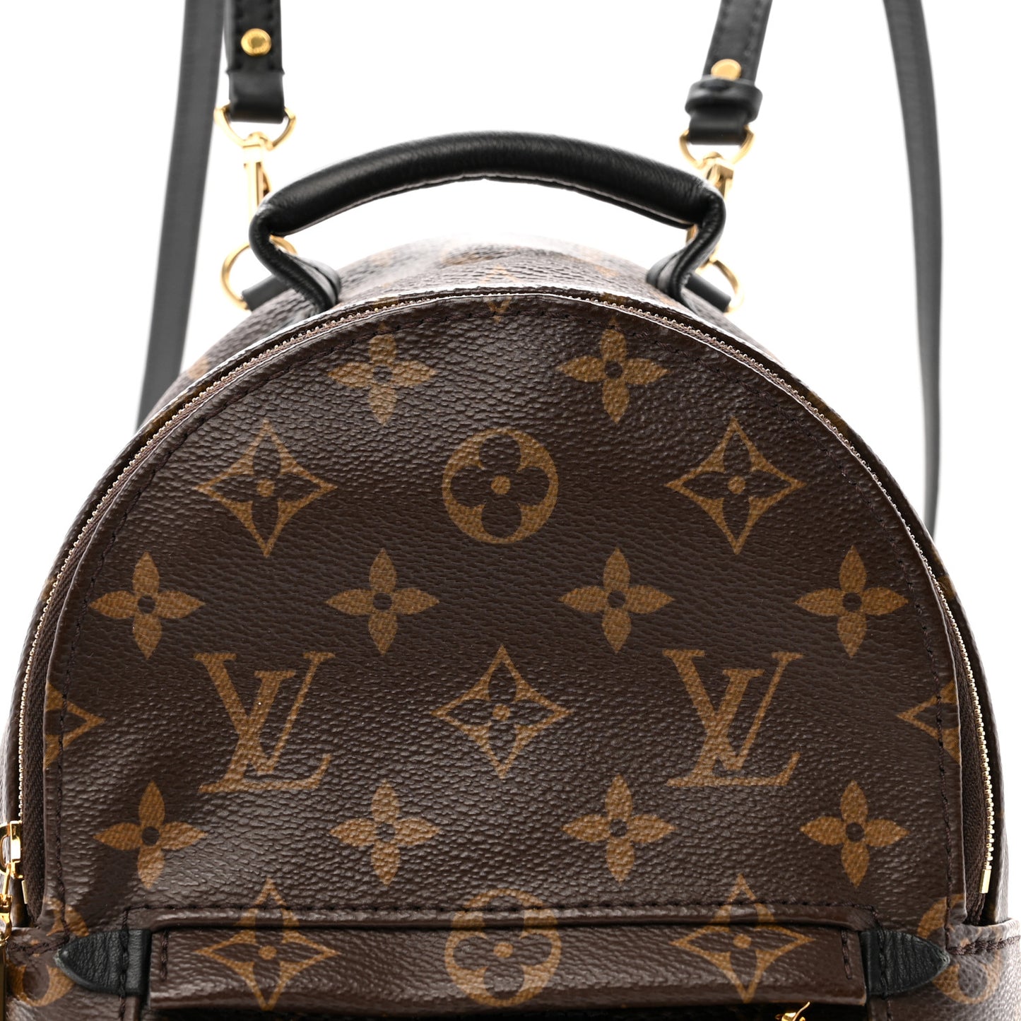 Monogram Palm Springs Backpack Mini