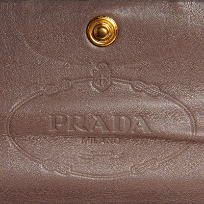 Prada City Calf Long Wallet Argilla 6 of 10