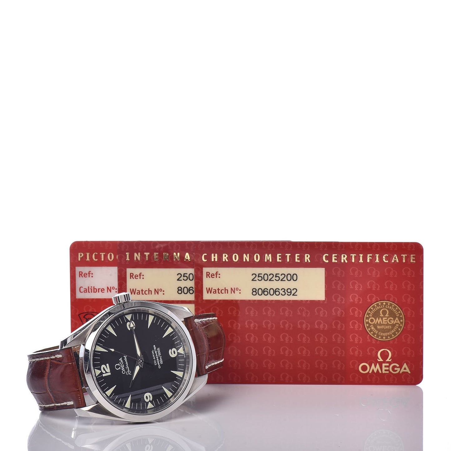 Stainless Steel Alligator 42mm Railmaster Aqua Terra Co-Axial Chronometer Automatic Watch Black 2502.52.00