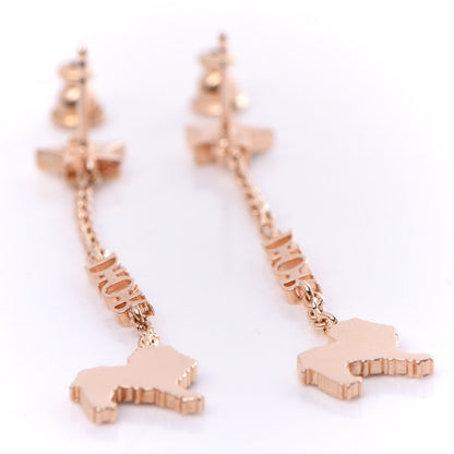 Christian Dior Crystal Diorable Lion Logo Drop Earrings Rose Gold 3 of 5