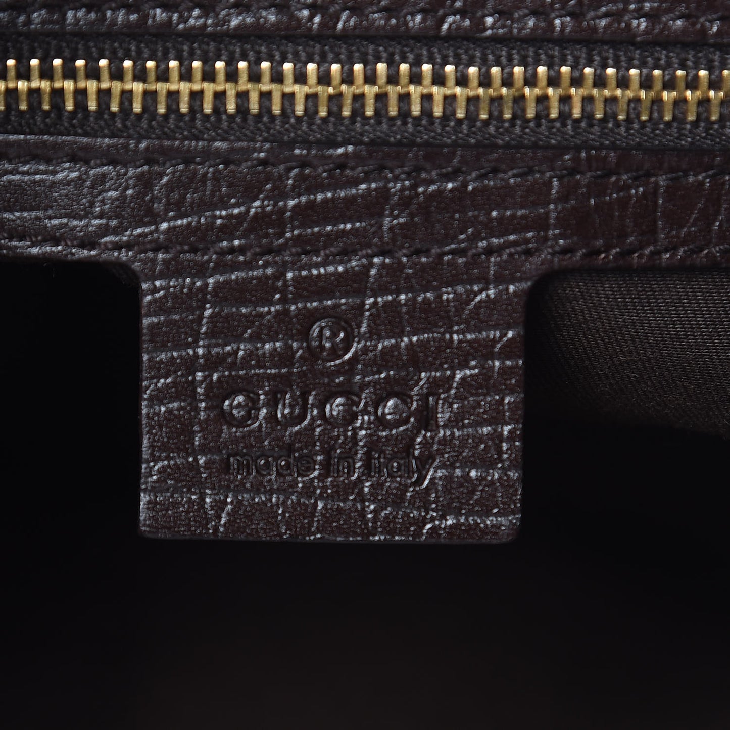 Monogram Hasler Hobo Dark Brown