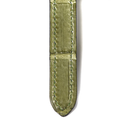 Hermes Crocodile Niloticus Ultra Soft Mini Steinkraus Saddle Vert Pelouse 29 of 34