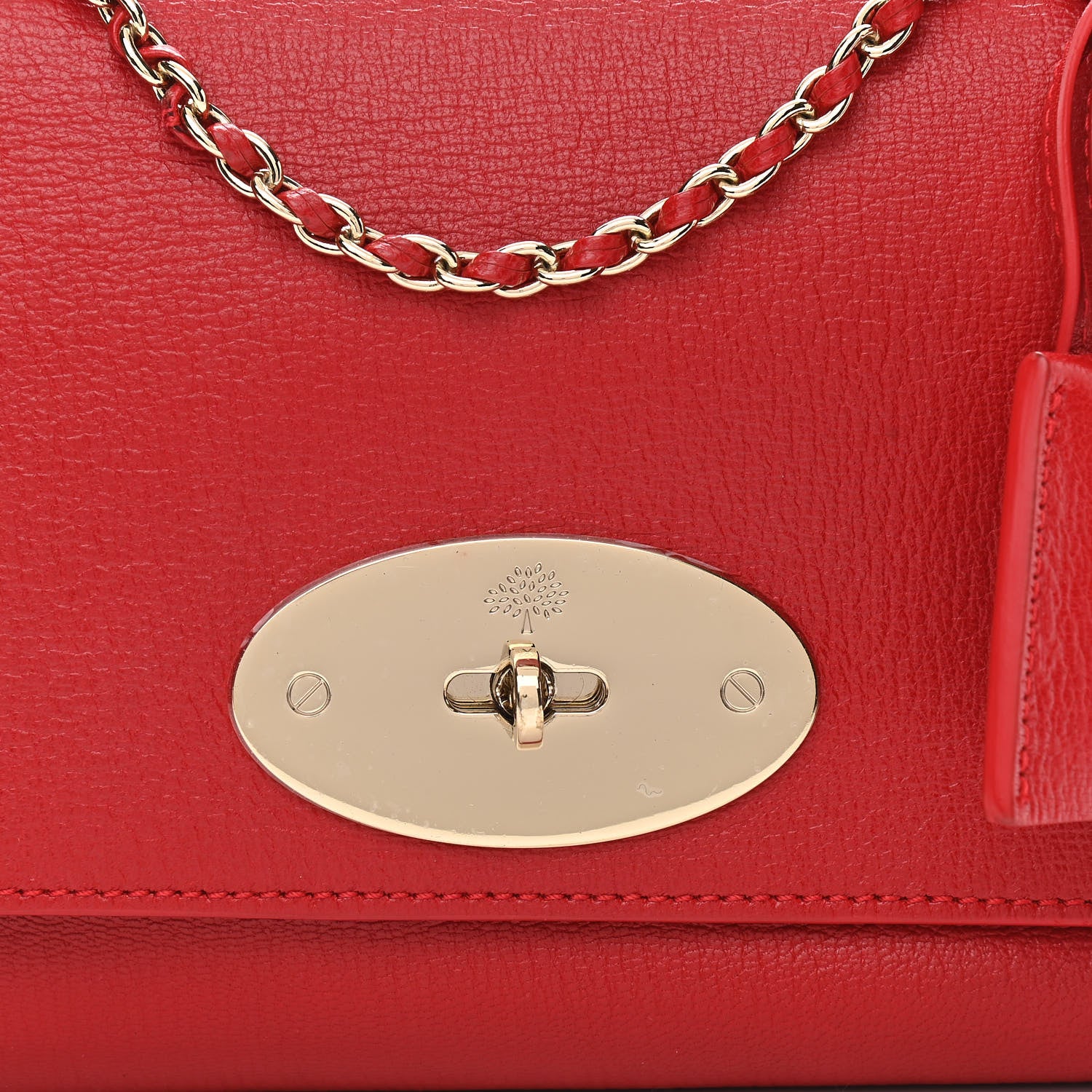 Mulberry Glossy Goatskin Small Lily Flap Red 11 of 13