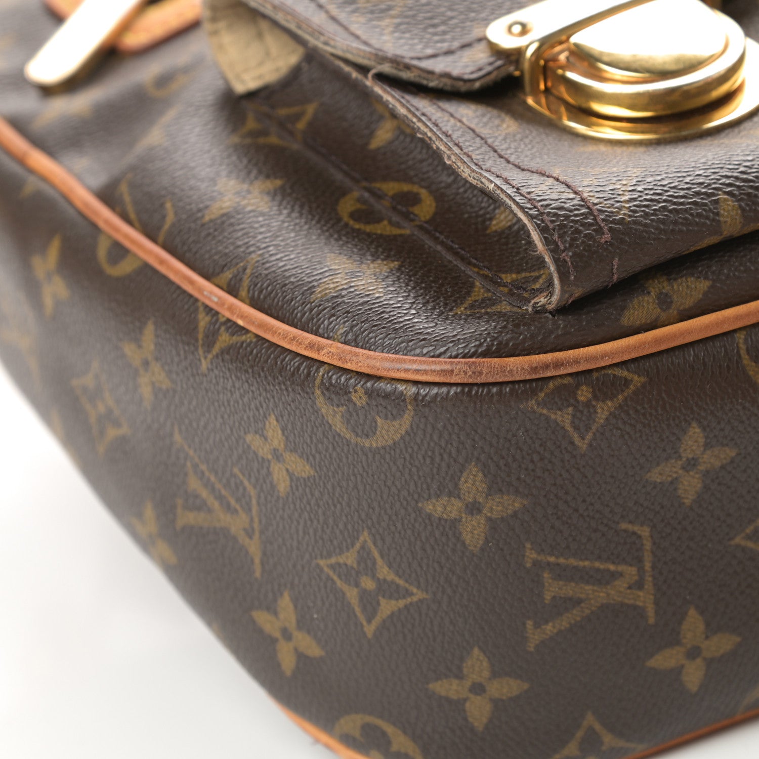 Louis Vuitton Monogram Hudson GM 8 of 22