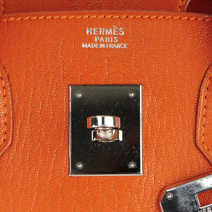 Hermes Chevre de Coromandel Birkin 30 Potiron 12 of 28