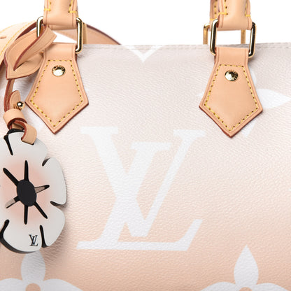 Louis Vuitton Monogram Giant By The Pool Speedy Bandouliere 25 Brume 10 of 10