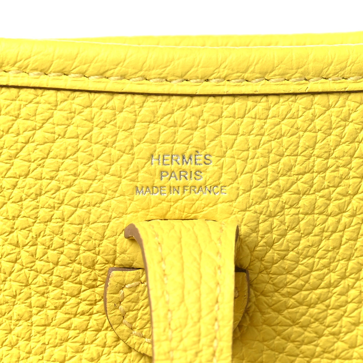 Taurillon Clemence Evelyne TPM Lime