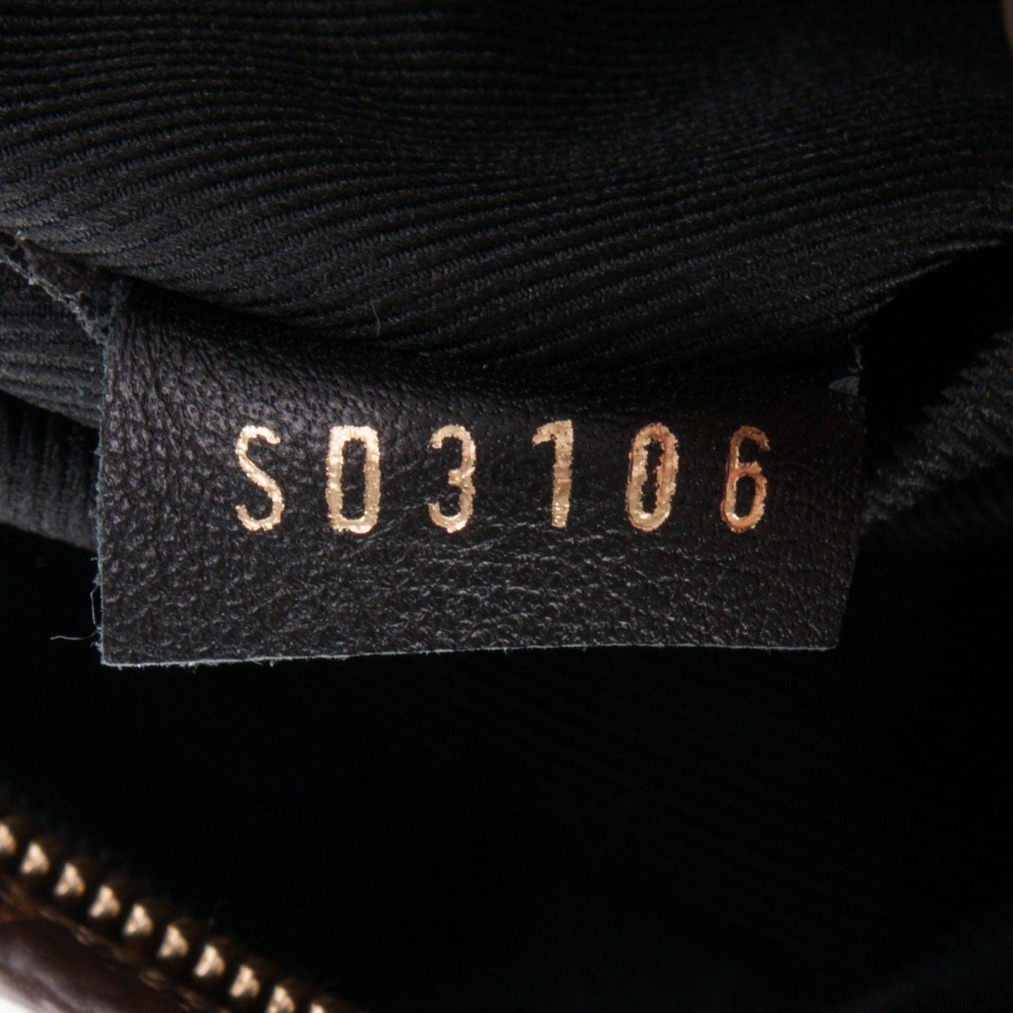 Monogram Palm Springs Backpack Mini