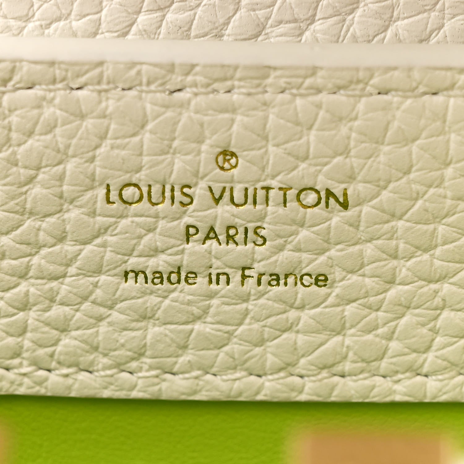 Louis Vuitton Taurillon Braided Capucines Mini Vert 7 of 10