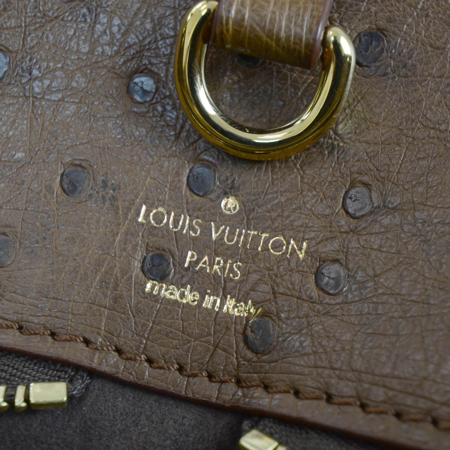 Monogram Etoile Exotique GM Miel