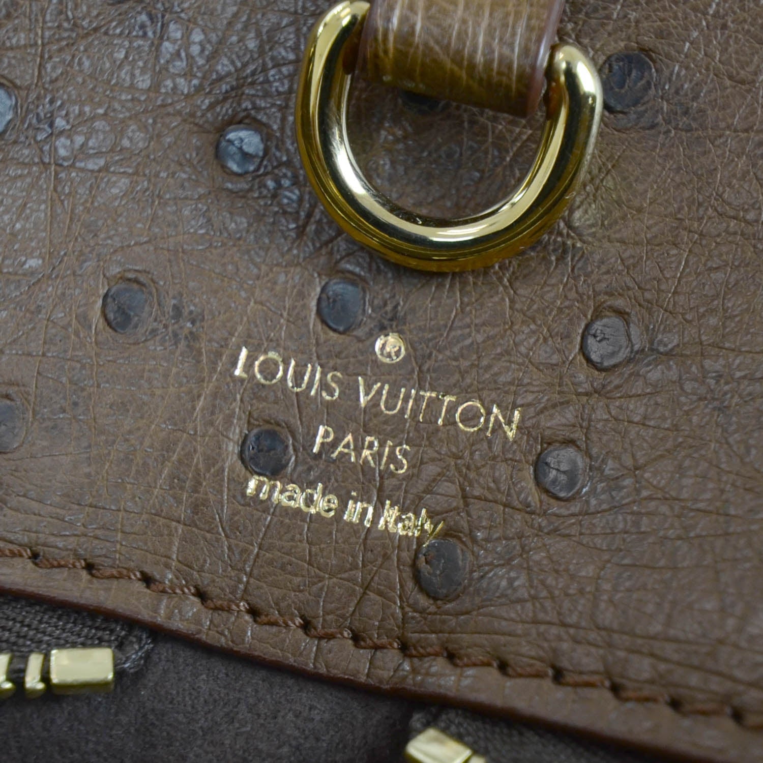 Louis Vuitton Monogram Etoile Exotique GM Miel 13 of 17