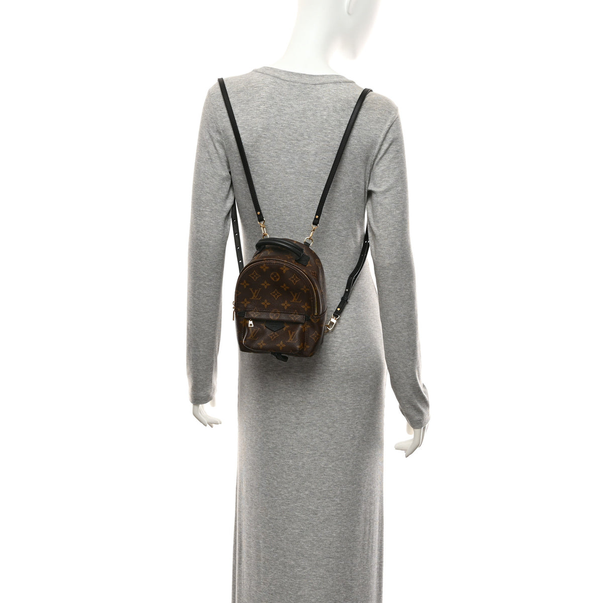 Monogram Palm Springs Backpack Mini