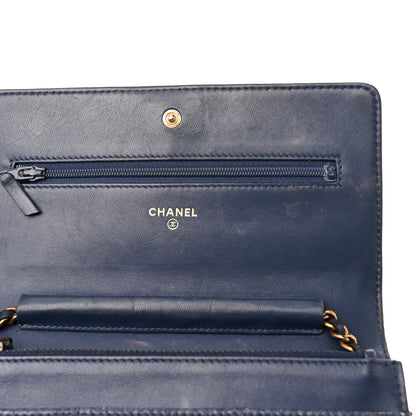 Chanel Snakeskin Wallet On Chain WOC Blue 12 of 17