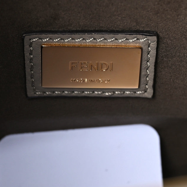 Fendi Vitello Seta Plexiglass Tortoise Medium Peekaboo Iconic Satchel Tortora 9 of 9