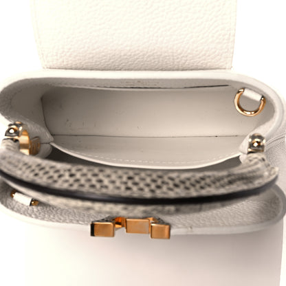 Louis Vuitton Taurillon Ayers Capucines Mini White Snow White 5 of 10
