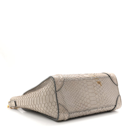 Celine Snakeskin Nano Luggage Grey 4 of 11