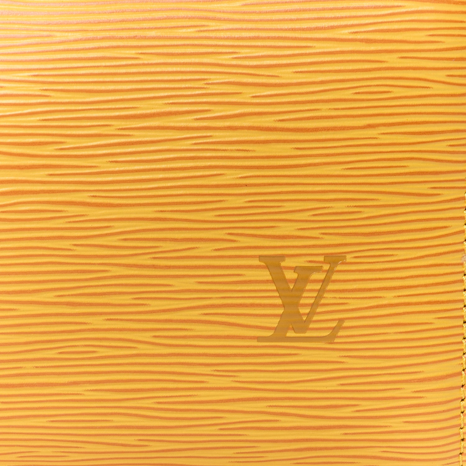 Louis Vuitton Epi Speedy 25 Tassil 10 of 14