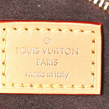 Louis Vuitton Monogram Mini Bumbag 6 of 9