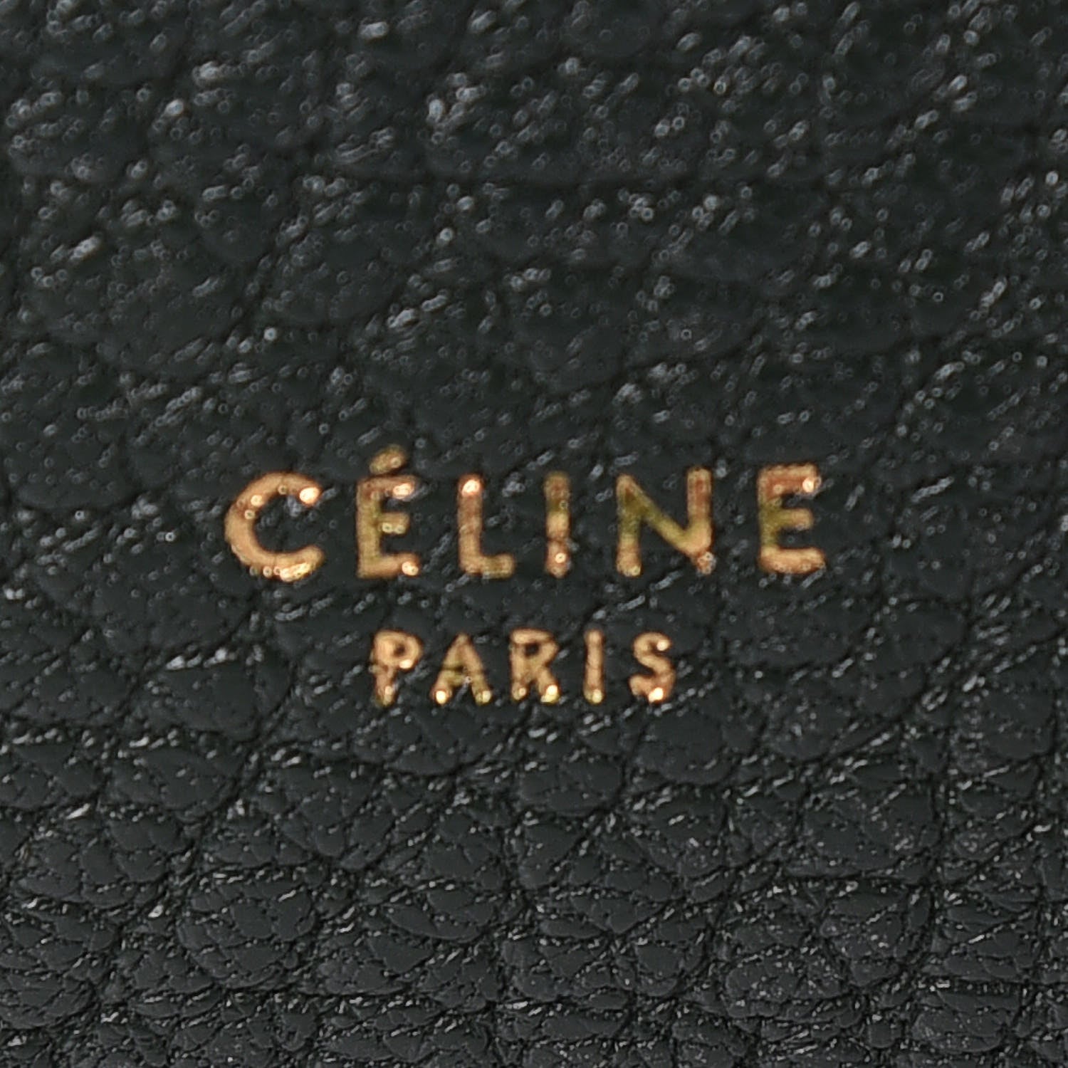 Celine Goatskin Smooth Calfskin Mini Belt Bag Dark Green 6 of 18