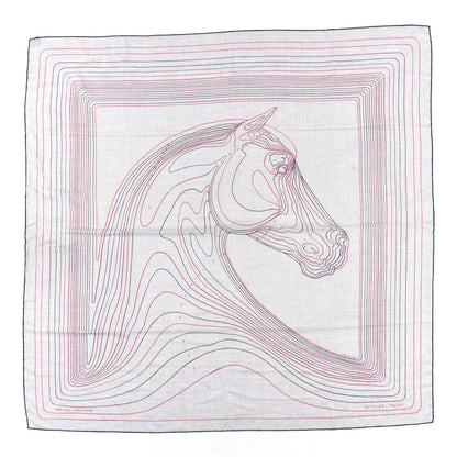 Hermes Cashmere Silk Pegase Paysage Shawl 140 1 of 5