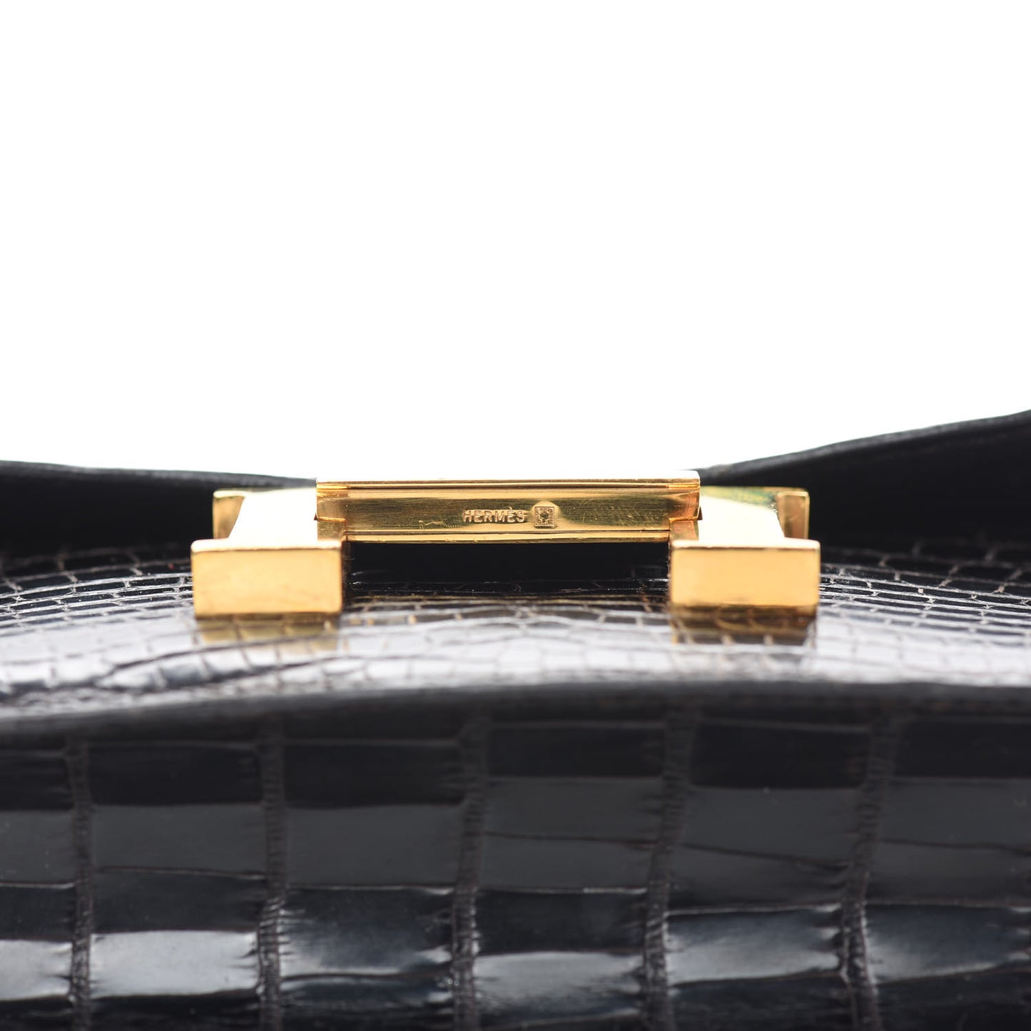 Shiny Alligator Micro Constance 14 Ebene