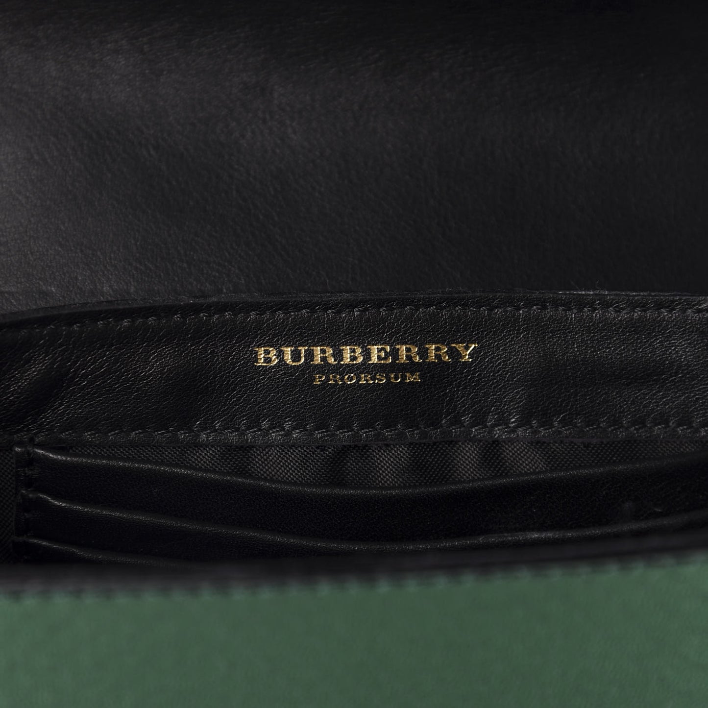 Metallic Snakeskin Mini Berkeley Crossbody Dark Green