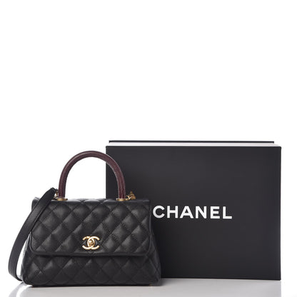Chanel Caviar Lizard Quilted Mini Coco Handle Flap Black 8 of 8