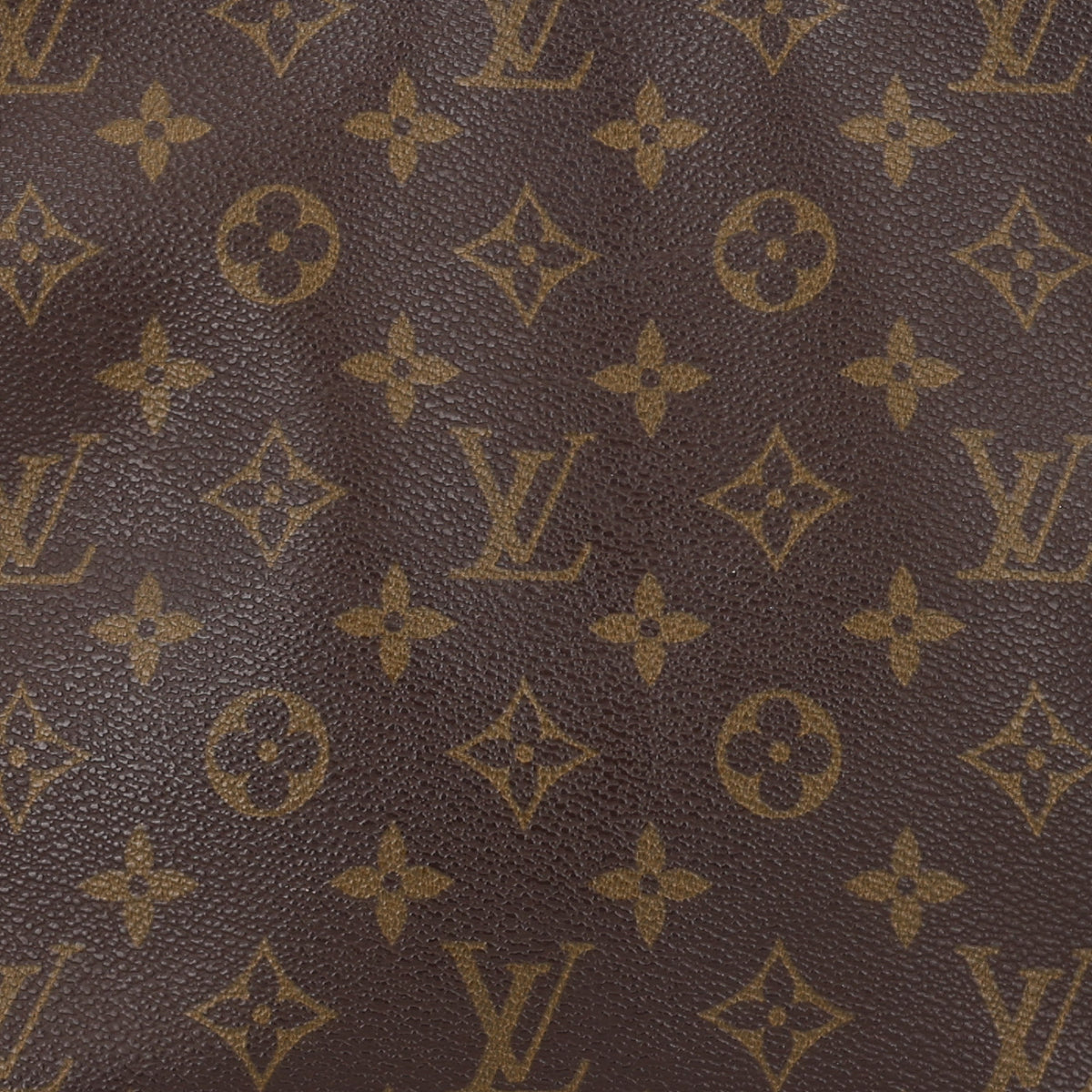 Monogram Looping MM