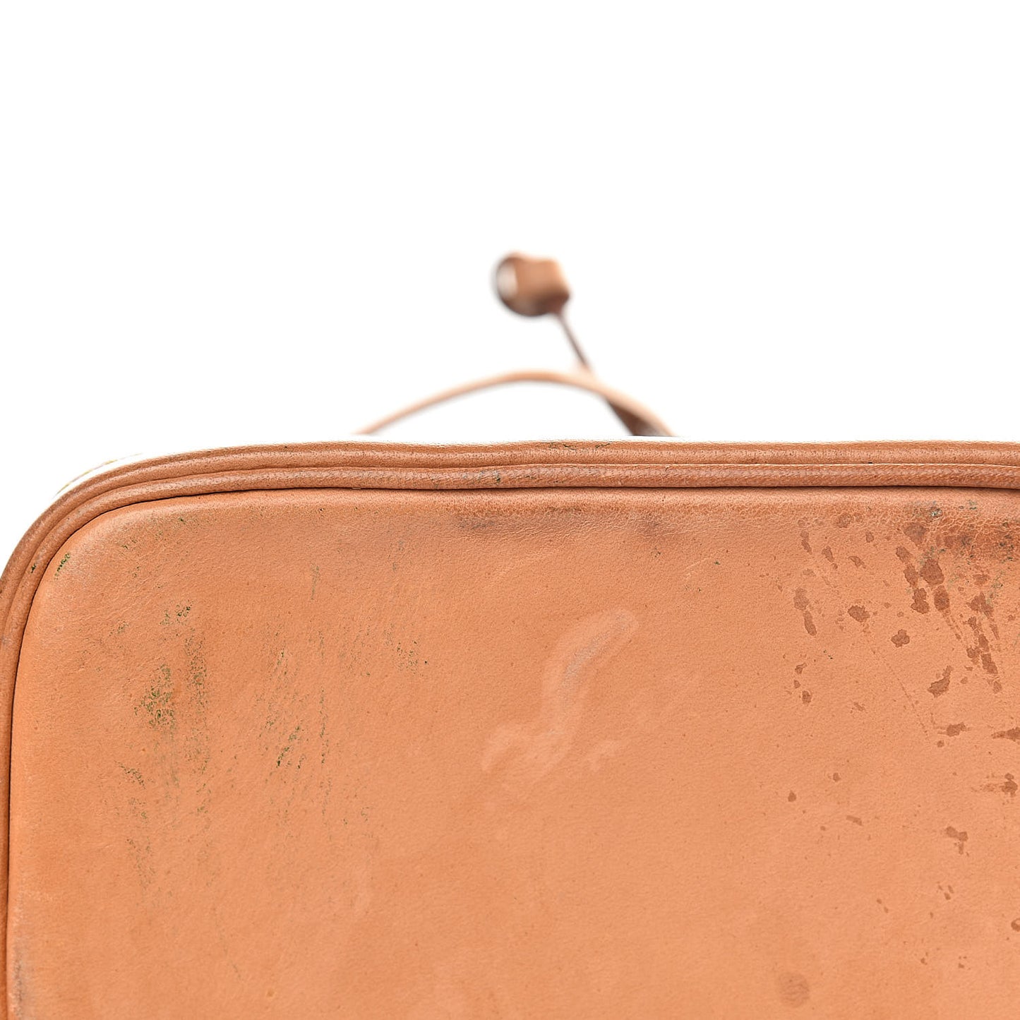 Monogram Mini Noe