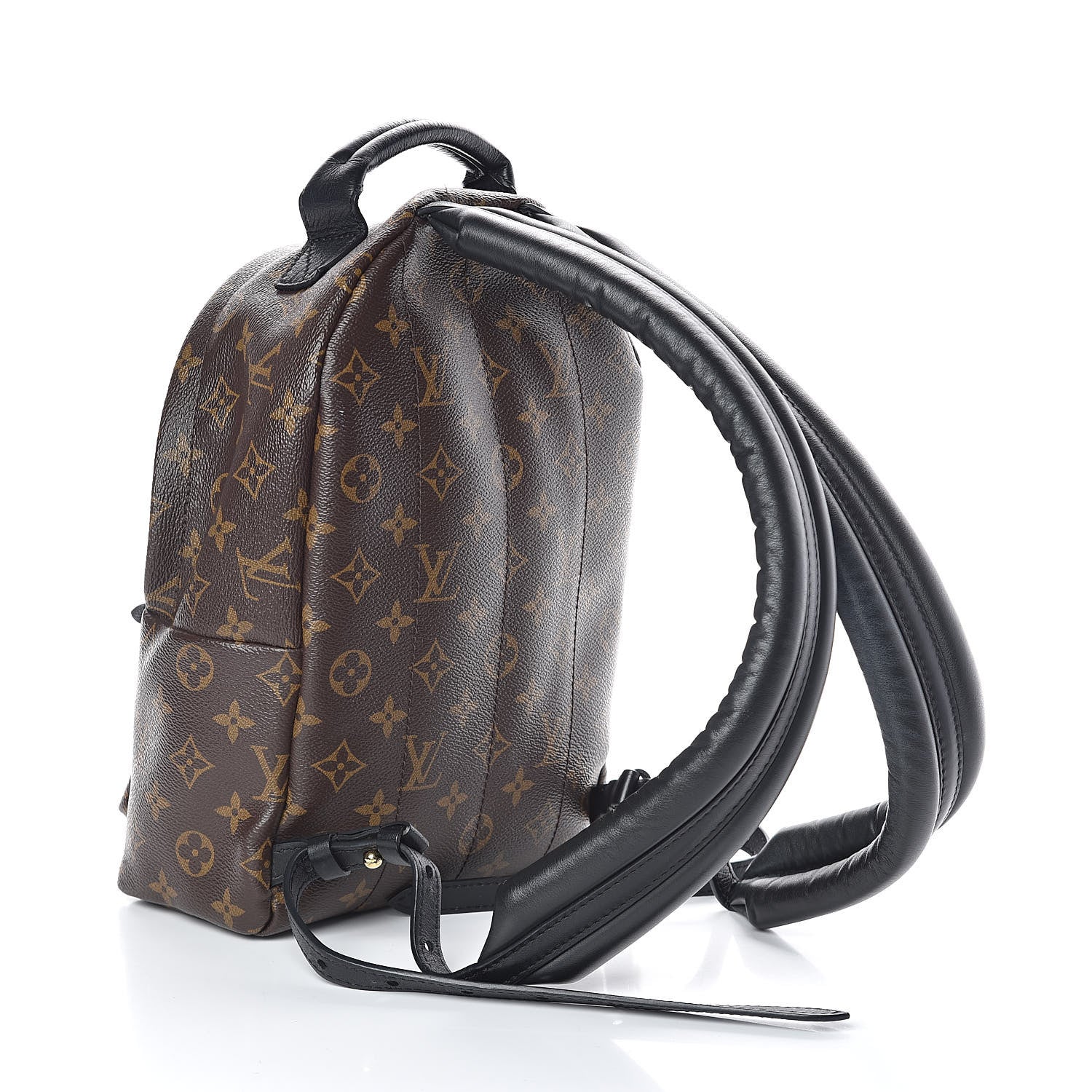 Louis Vuitton Monogram Palm Springs Backpack PM 3 of 9