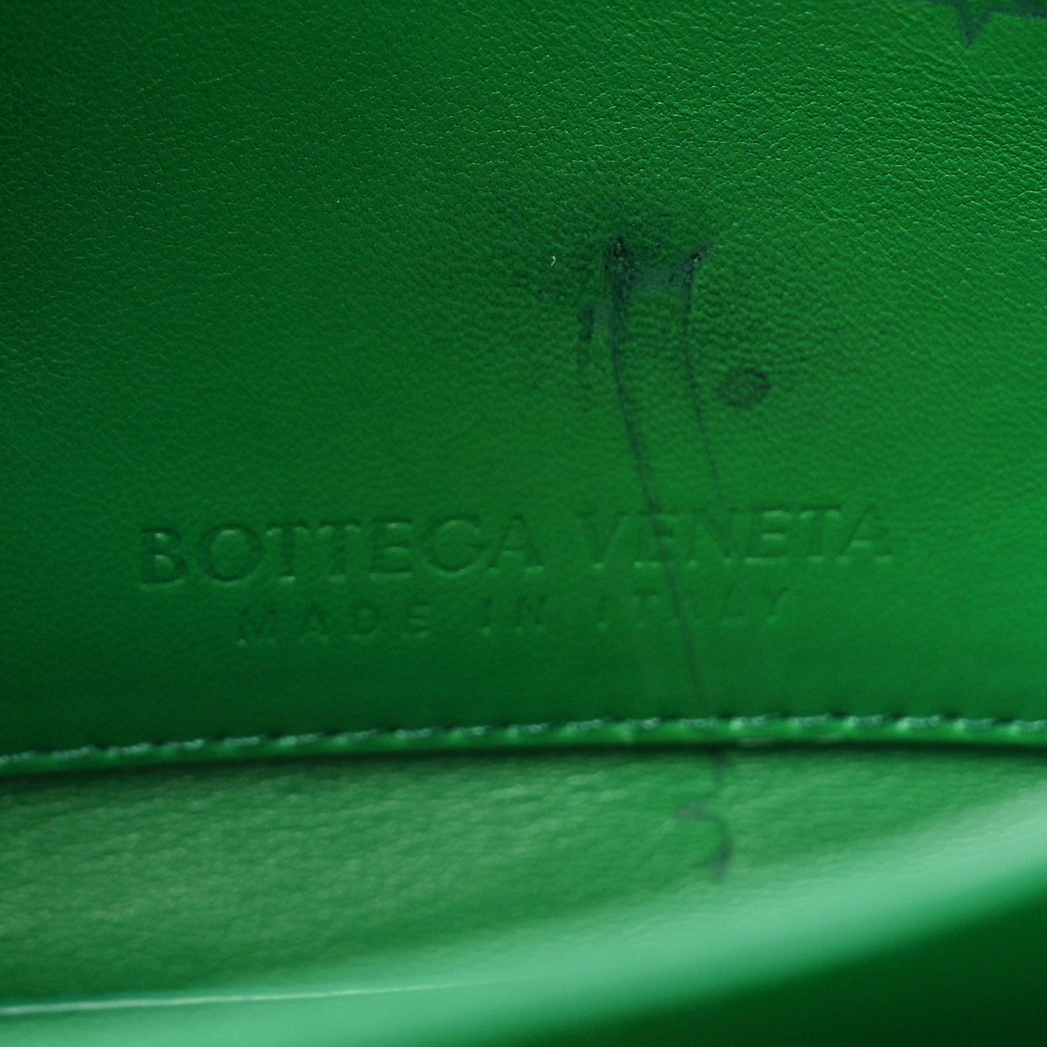 Bottega Veneta Calfskin Mount Envelope Bag Jungle 7 of 11