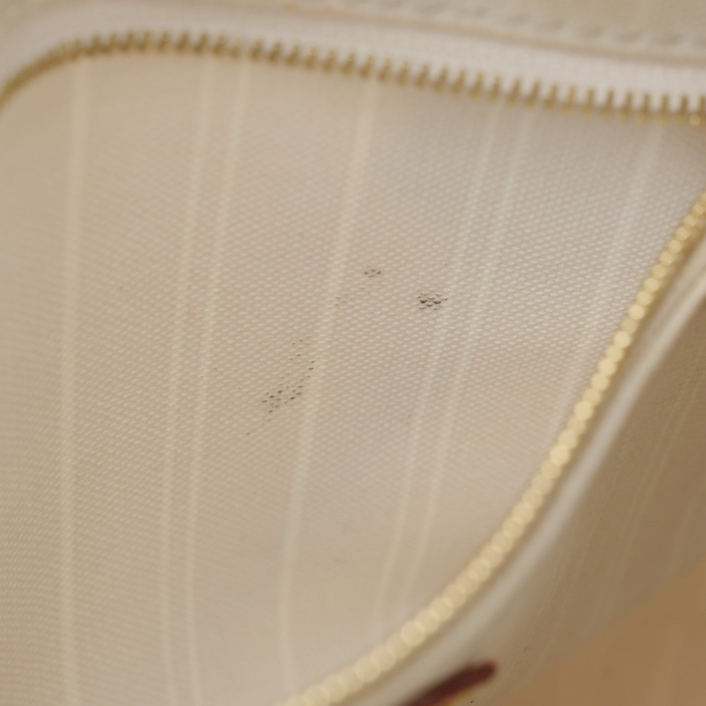 Monogram Giant By The Pool Speedy Bandouliere 25 Brume