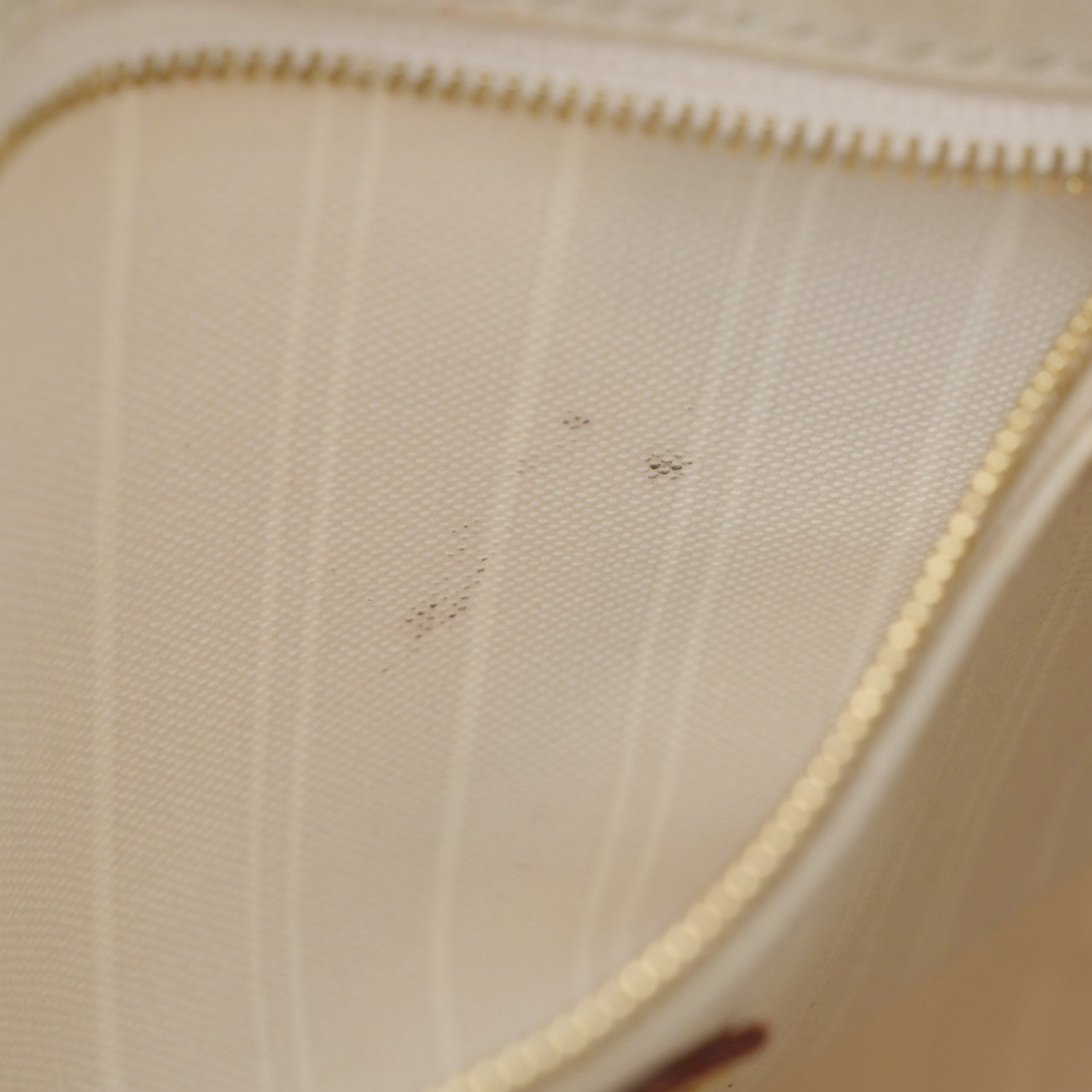 Louis Vuitton Monogram Giant By The Pool Speedy Bandouliere 25 Brume 19 of 19