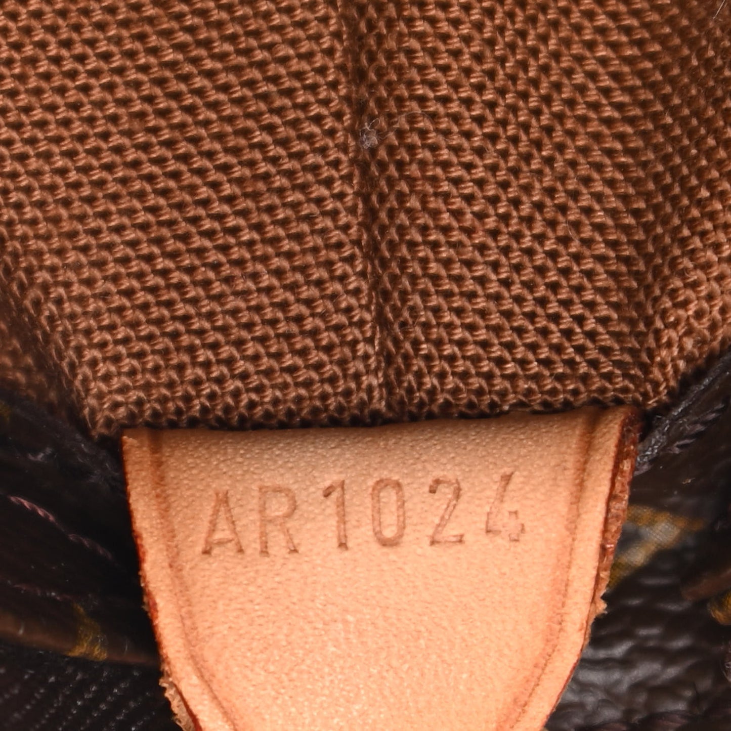 Monogram Cabas Mezzo